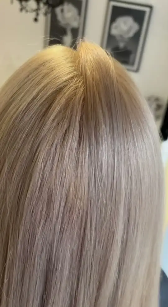 Hair colouring and styling — BASTÉT Beauty Salon, Elizabetes 6, Riga